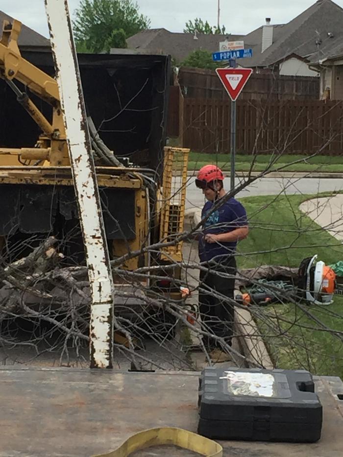 T & M Tree Service Tulsa Image