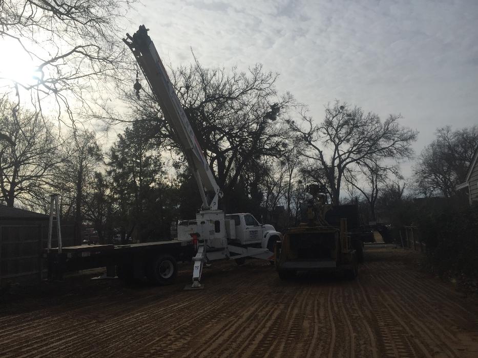 T & M Tree Service Tulsa Image
