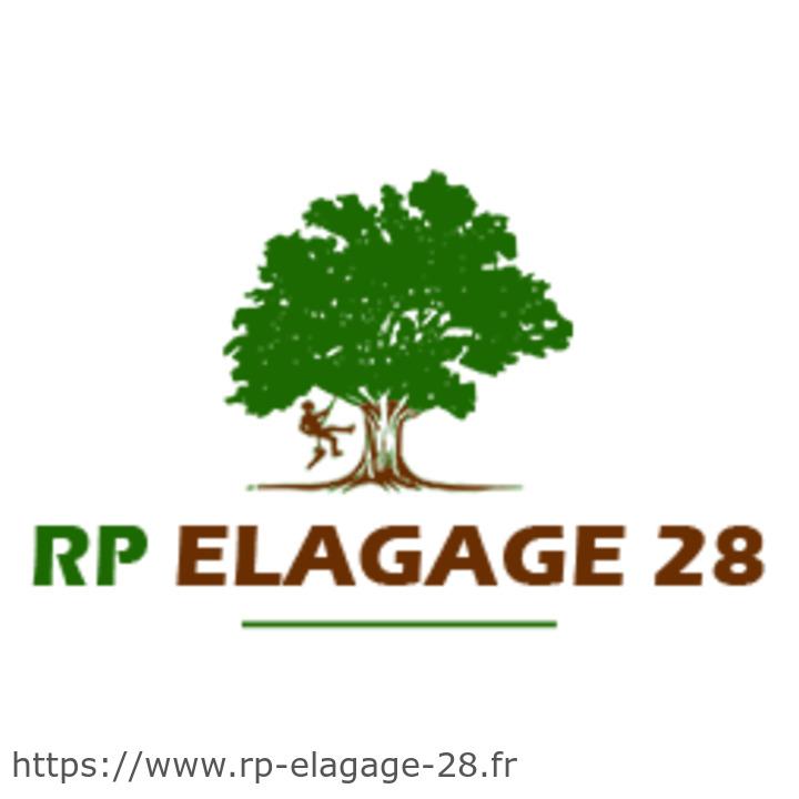 RP Elagage 28 Expert