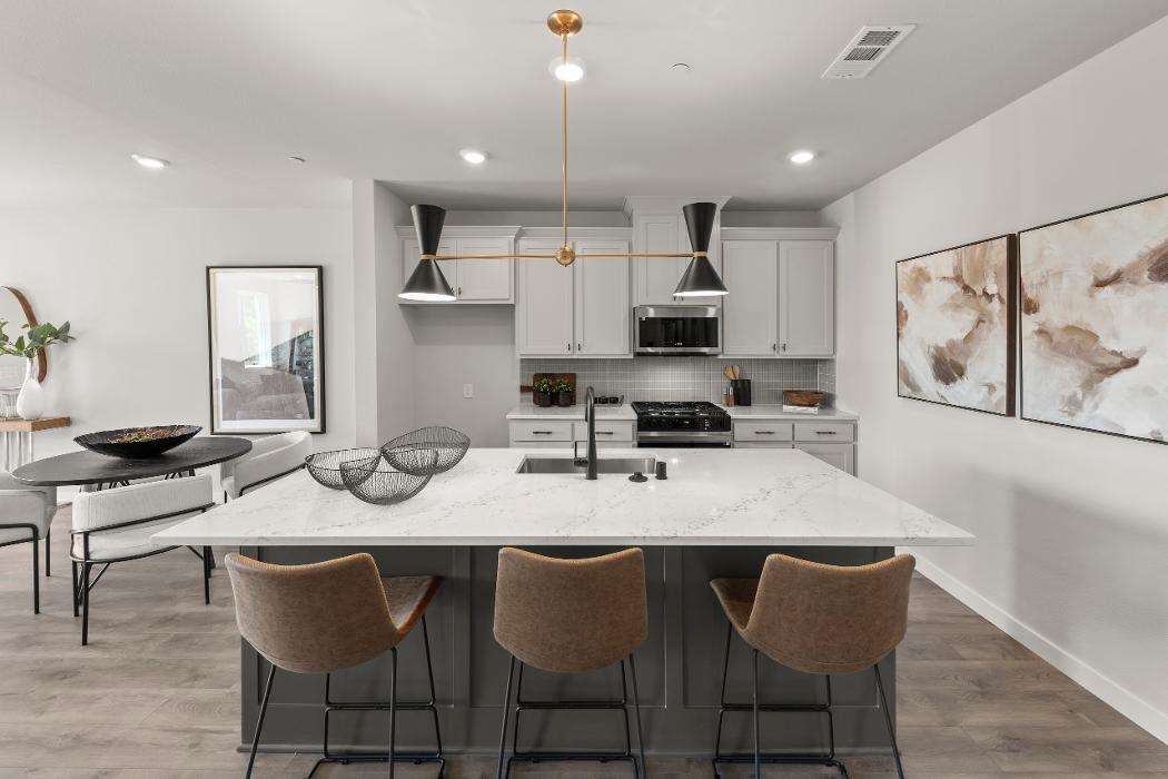 Grenadier Homes - Ten Mile Creek Townhomes Image