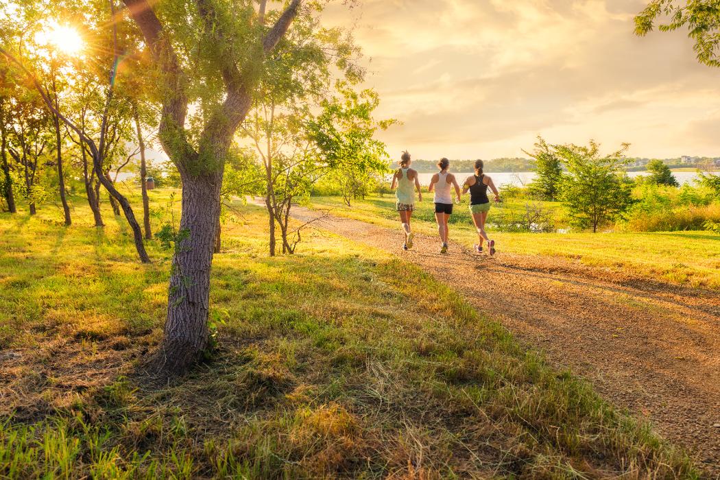 Grenadier Homes - The Tribute Townhomes Image