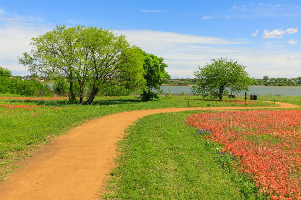 Grenadier Homes - The Tribute Townhomes Image