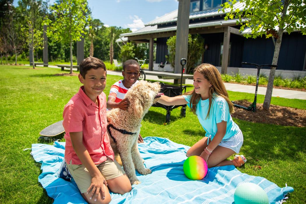 Nexton Info Cottage Image