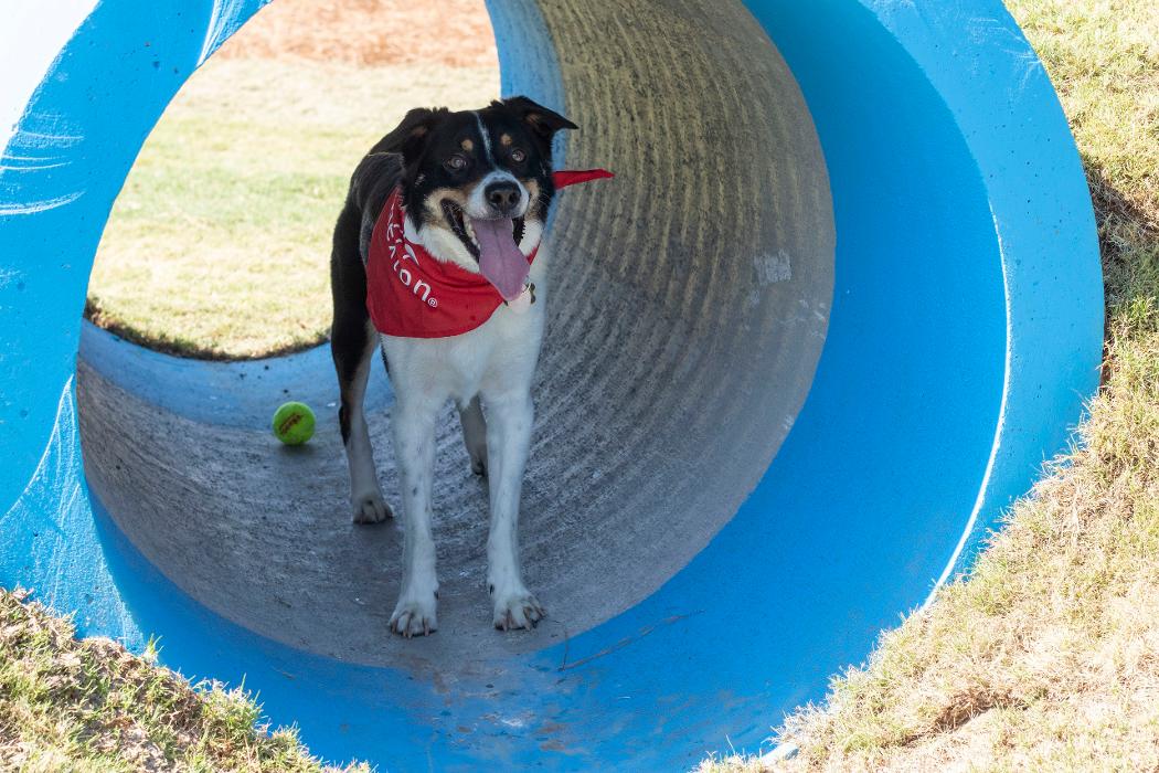 Nexton Info Cottage Image
