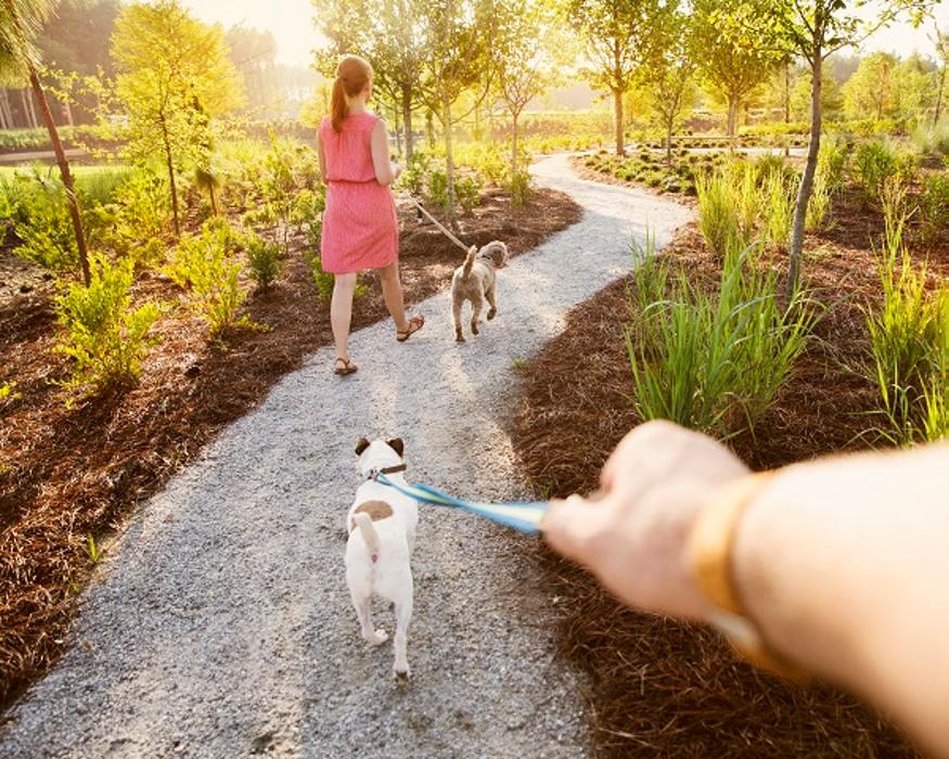 Nexton Info Cottage Image