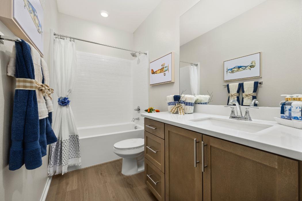 Pacific Communities - Lily Image