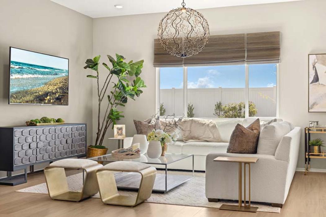 Pacific Communities - Lily Image