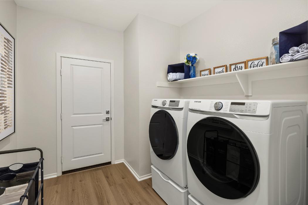 Pacific Communities - Lily Image