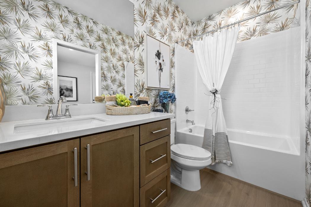 Pacific Communities - Lily Image