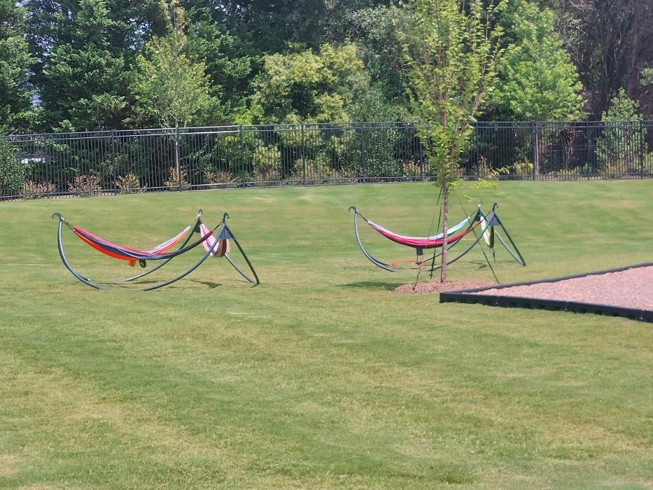 LeafSpring School at Cornelius Image