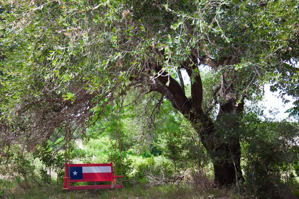 Kissing Tree by Brookfield Residential Logo