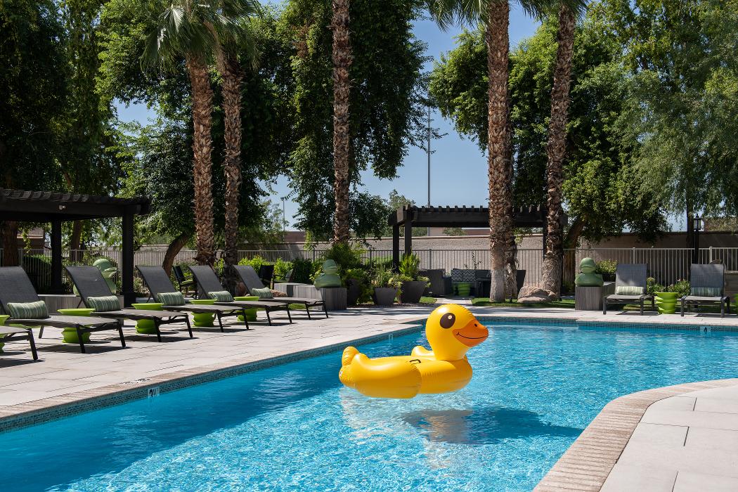 Cortland Arrowhead Summit Image