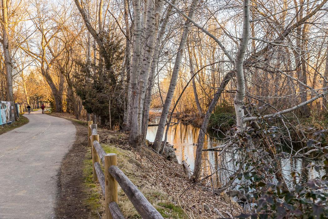 Cortland on the River Image