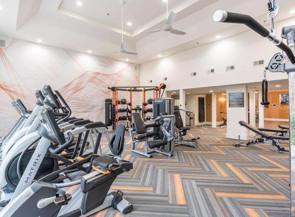 Cortland North Brookhaven Image