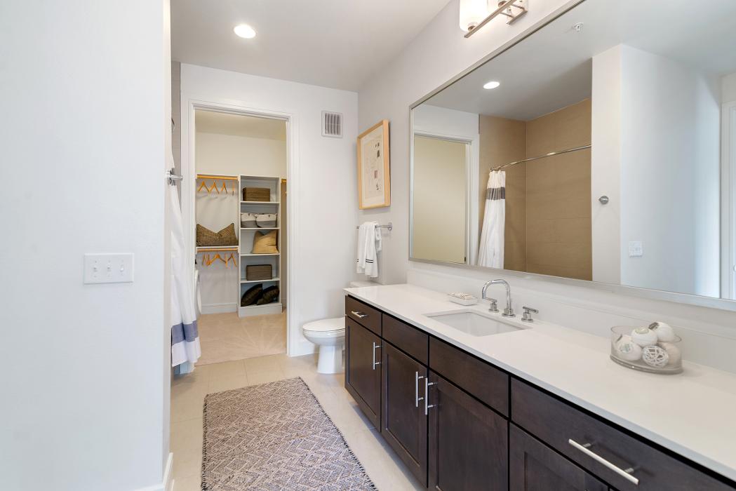 Cortland M-Line Image