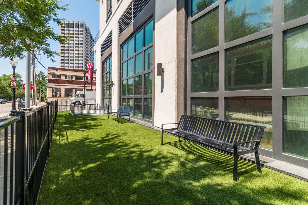 Cortland M-Line Image