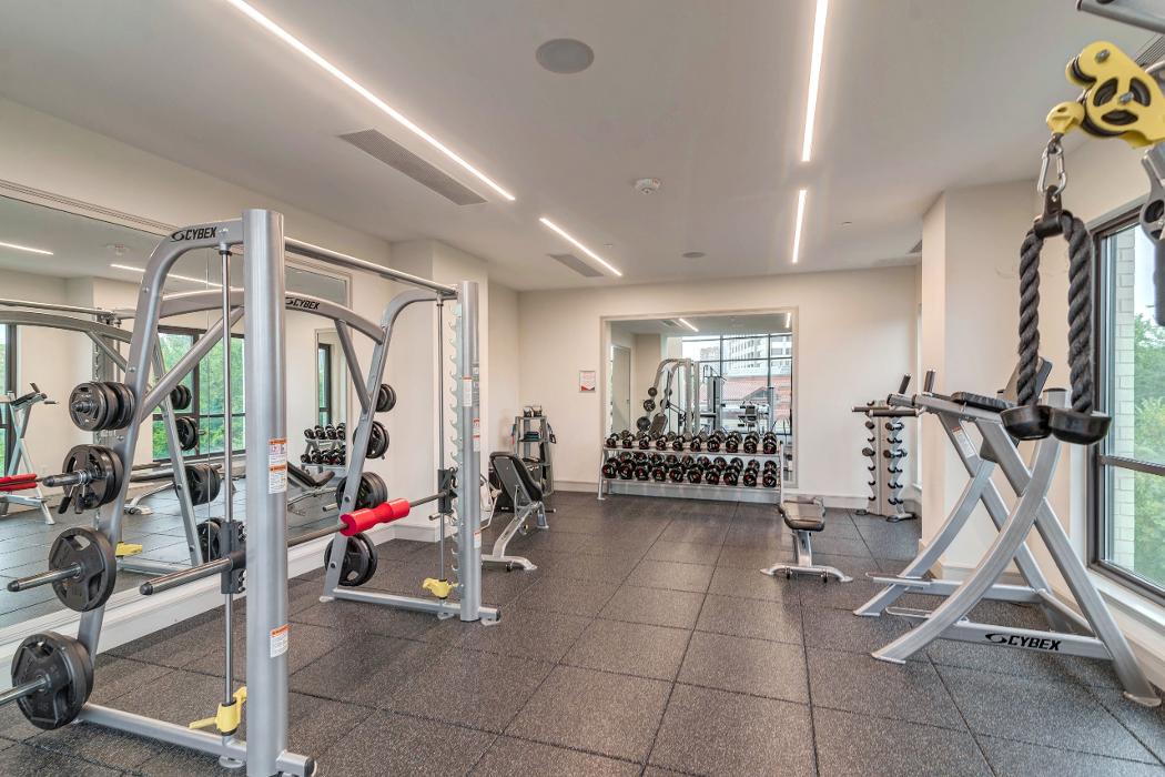 Cortland M-Line Image