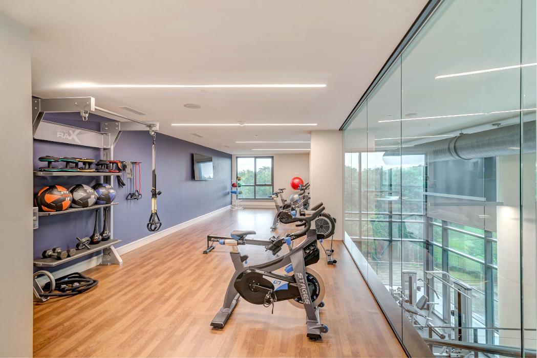 Cortland M-Line Image