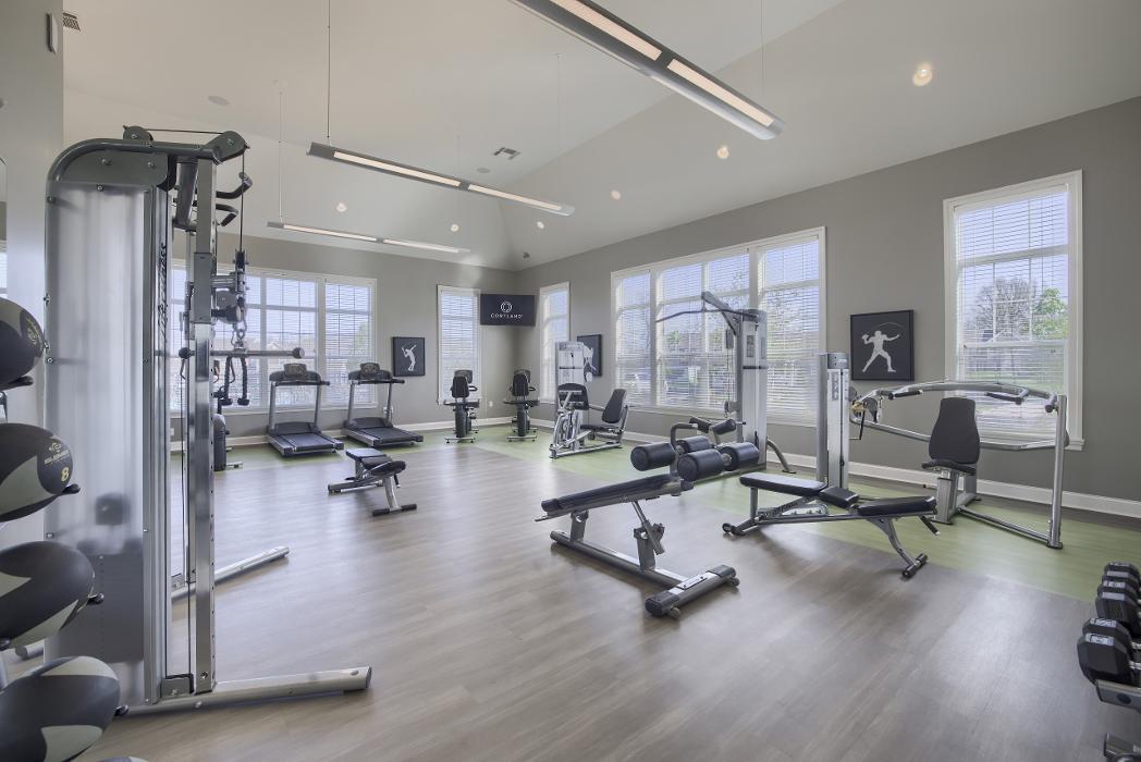 Cortland Northlake Image