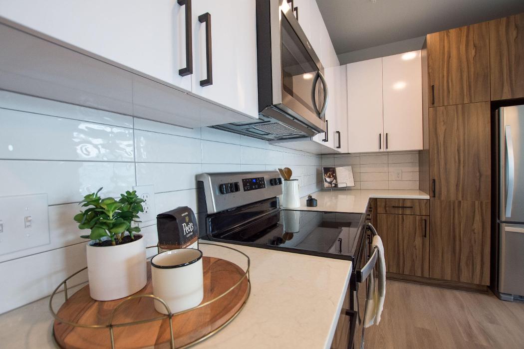 Cortland Oleander Image