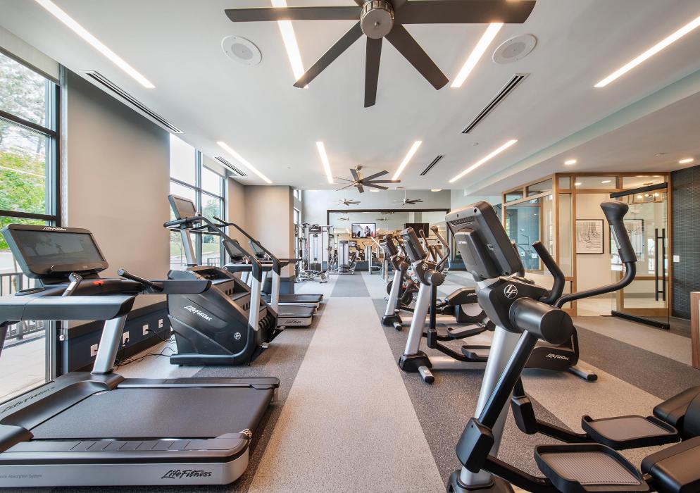 Cortland Oleander Image