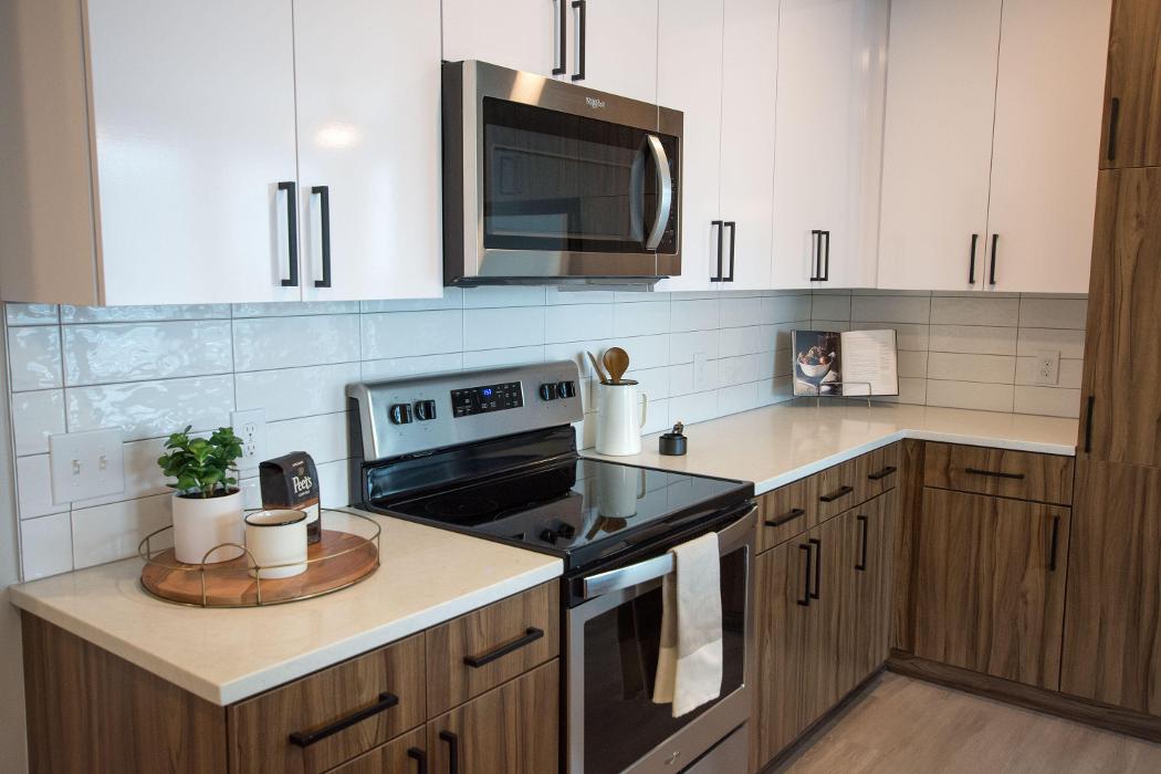 Cortland Oleander Image