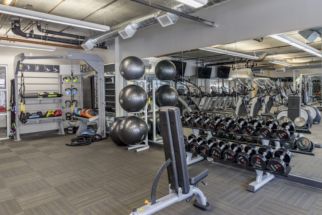 Cortland on Blake Image