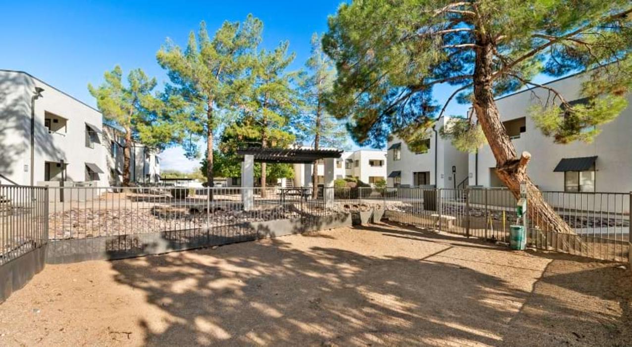 Cortland Sun River Image