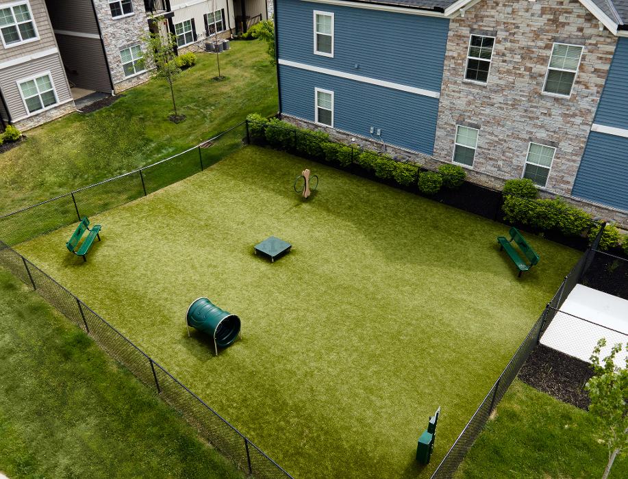 Cortland Sunbury Image