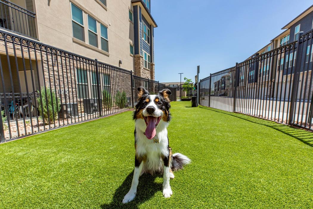 Cortland at Coalton Image