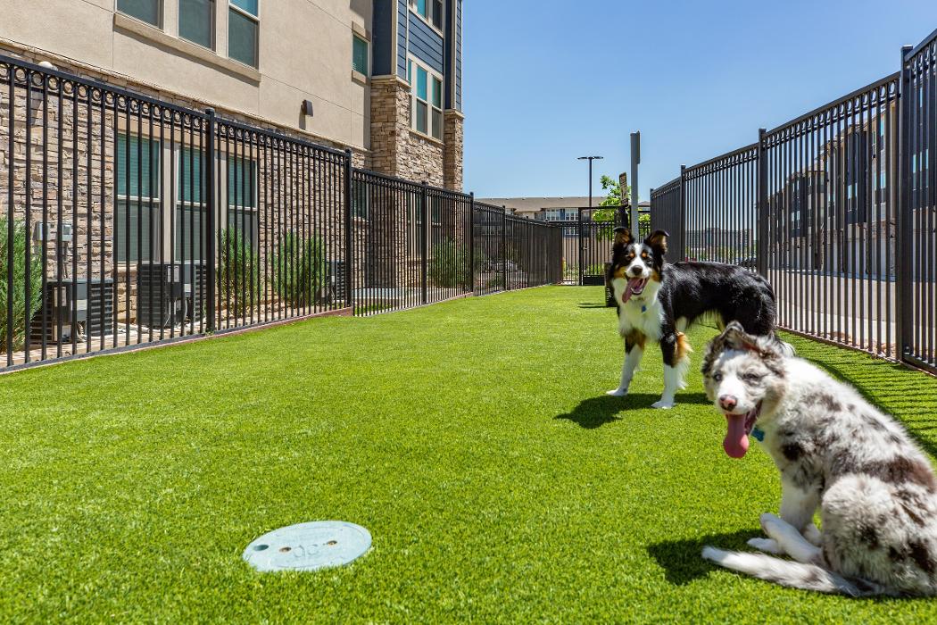 Cortland at Coalton Image