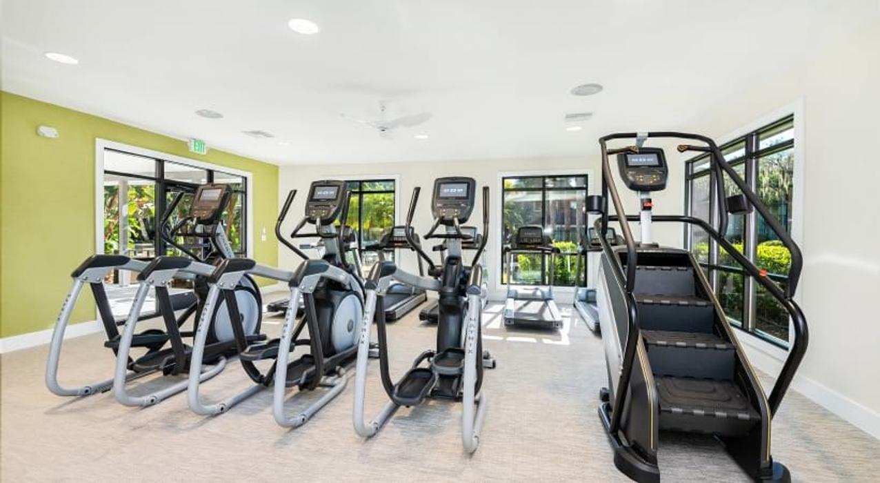 Cortland Mirror Lake Image