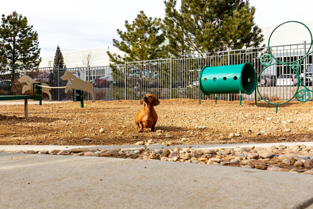 Cortland Flatirons Image