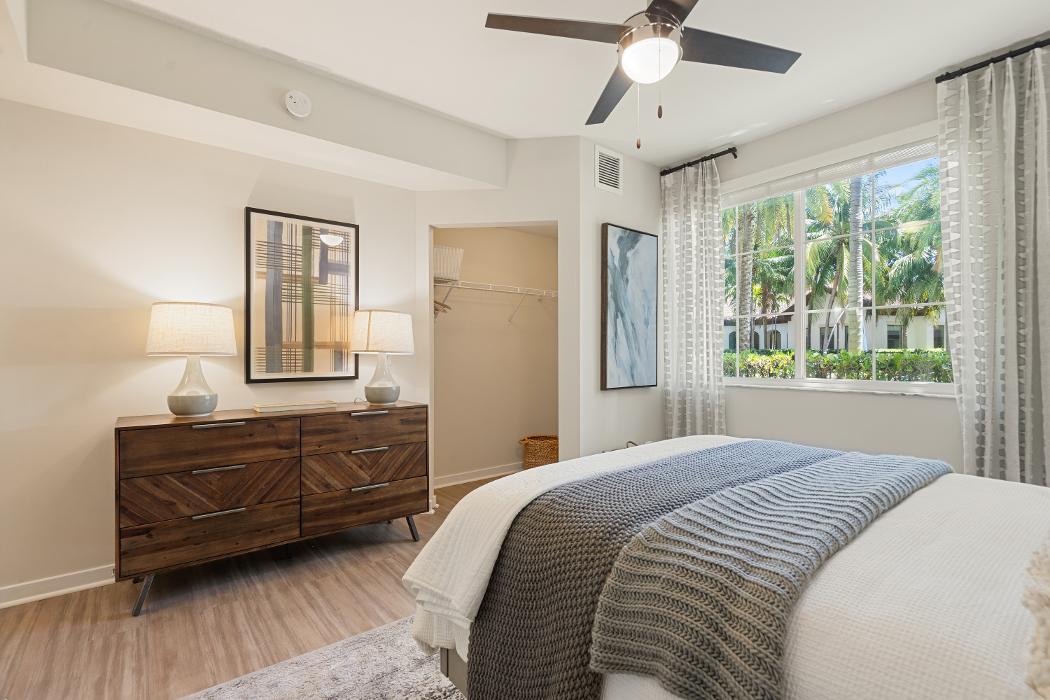 Cortland Hollywood Image