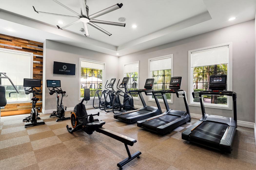 Cortland Hollywood Image