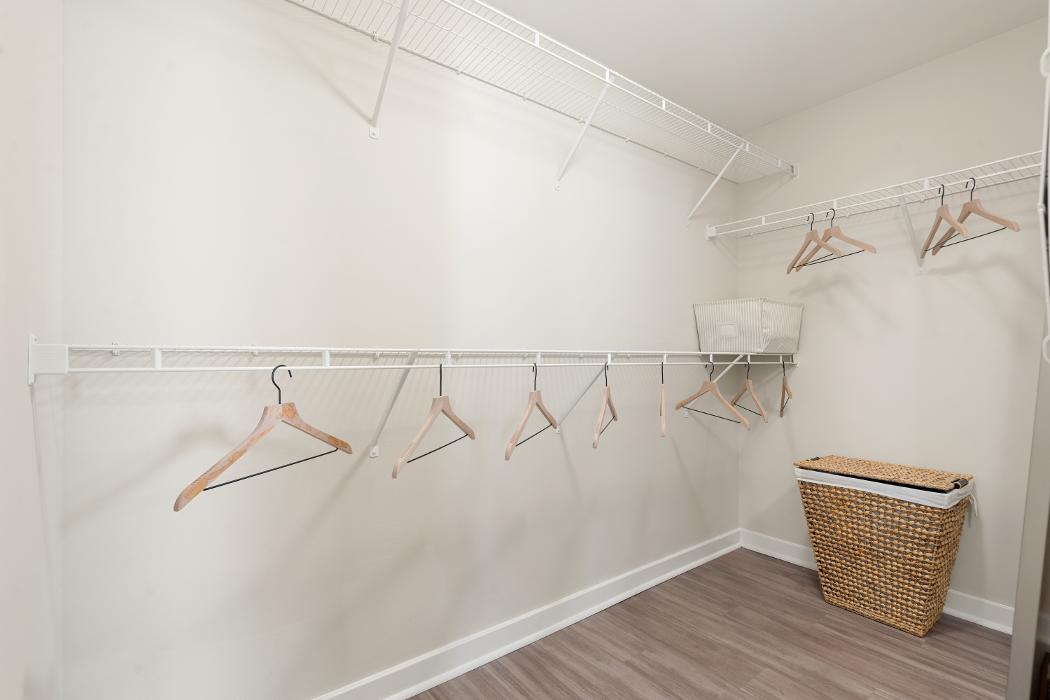 Cortland Hollywood Image