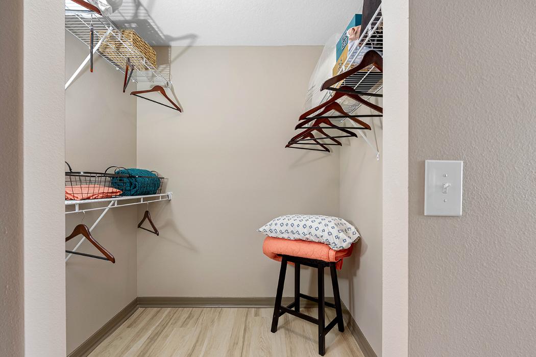 Cortland Lake Lotus Image