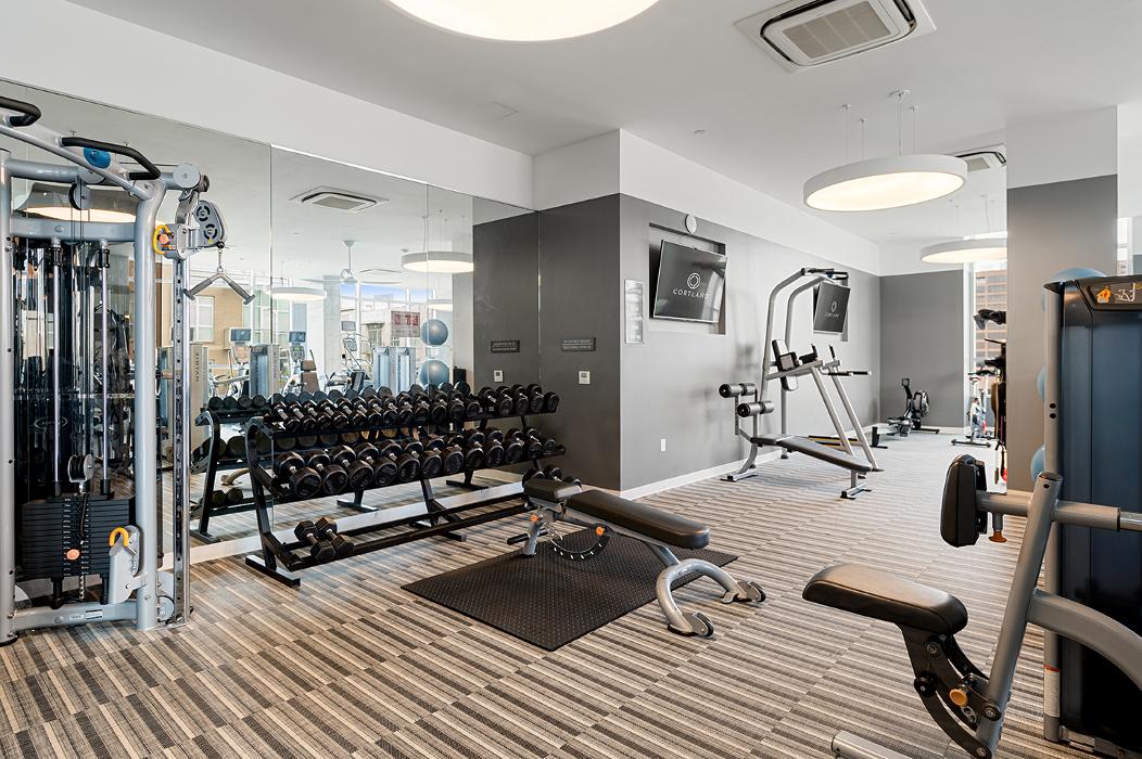 Cortland Museum District Image