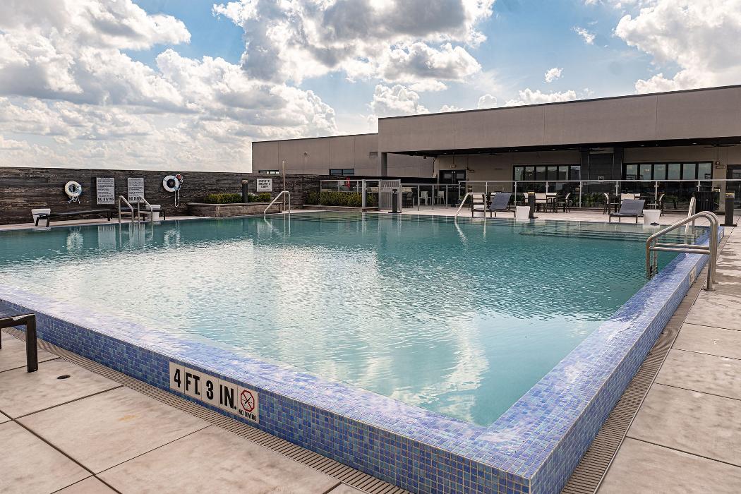 Cortland on Orange Image