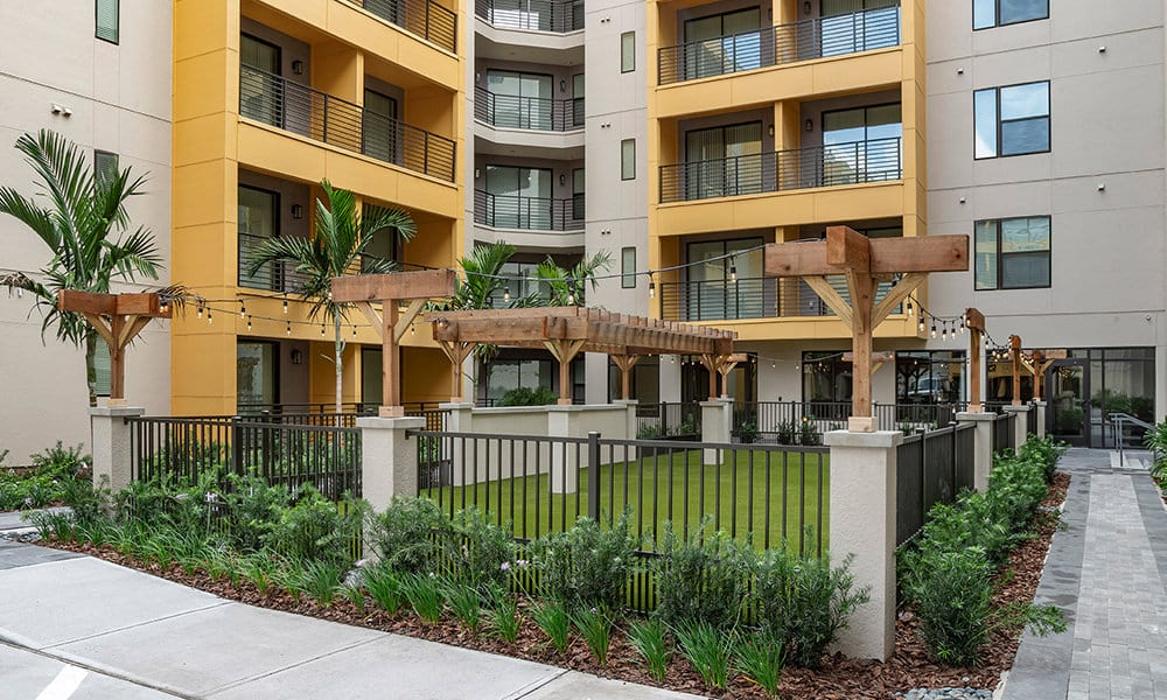 Cortland on Orange Image