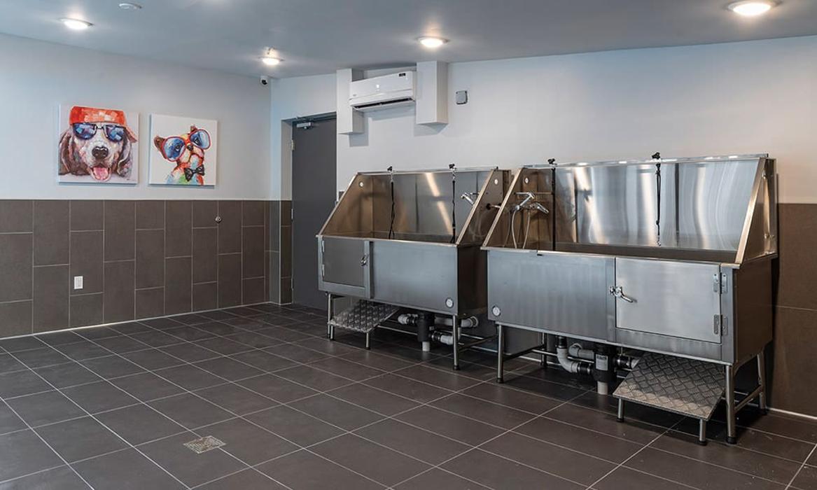 Cortland on Orange Image