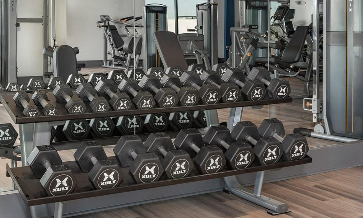 Cortland on Orange Image