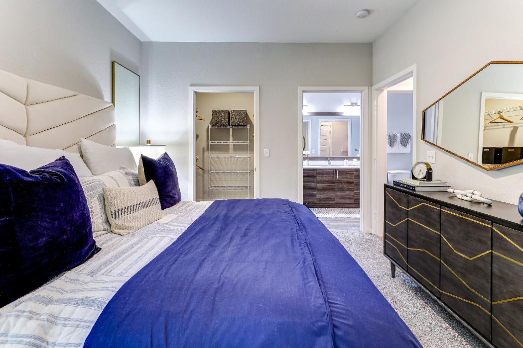 Cortland on Orange Image