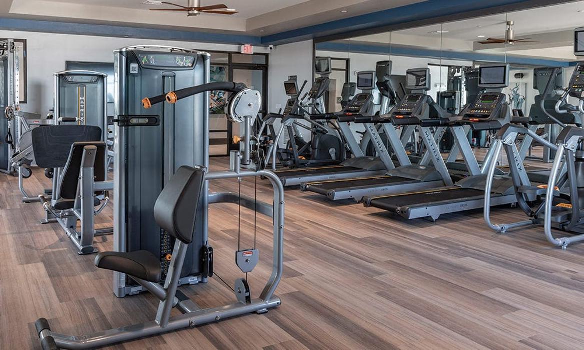 Cortland on Orange Image