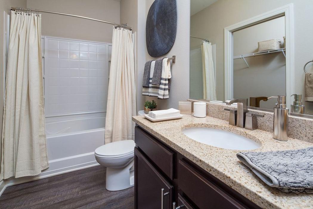 Cortland University City Image