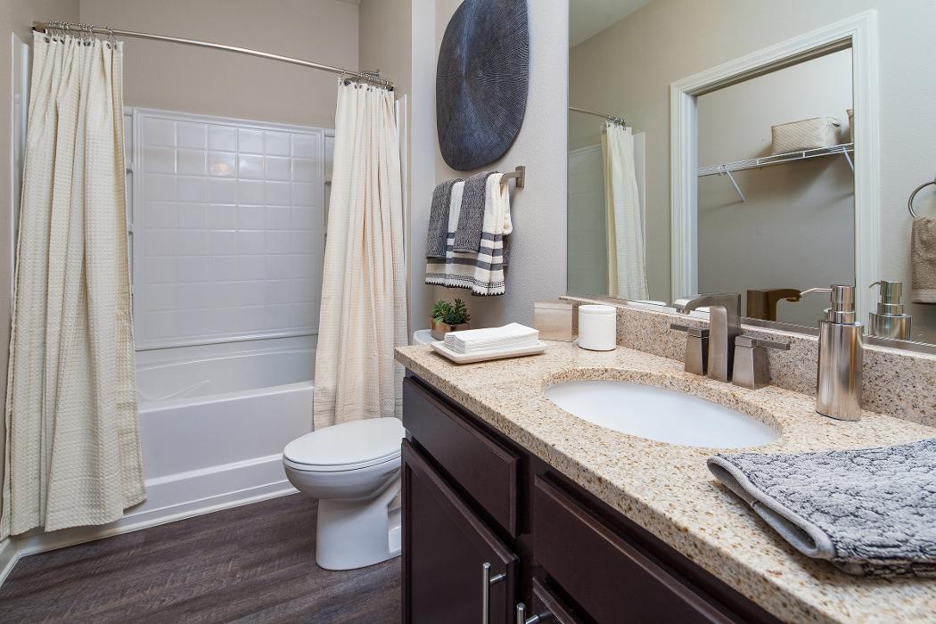 Cortland University City Image