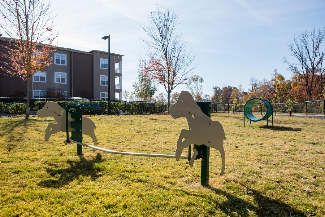 Cortland University City Image