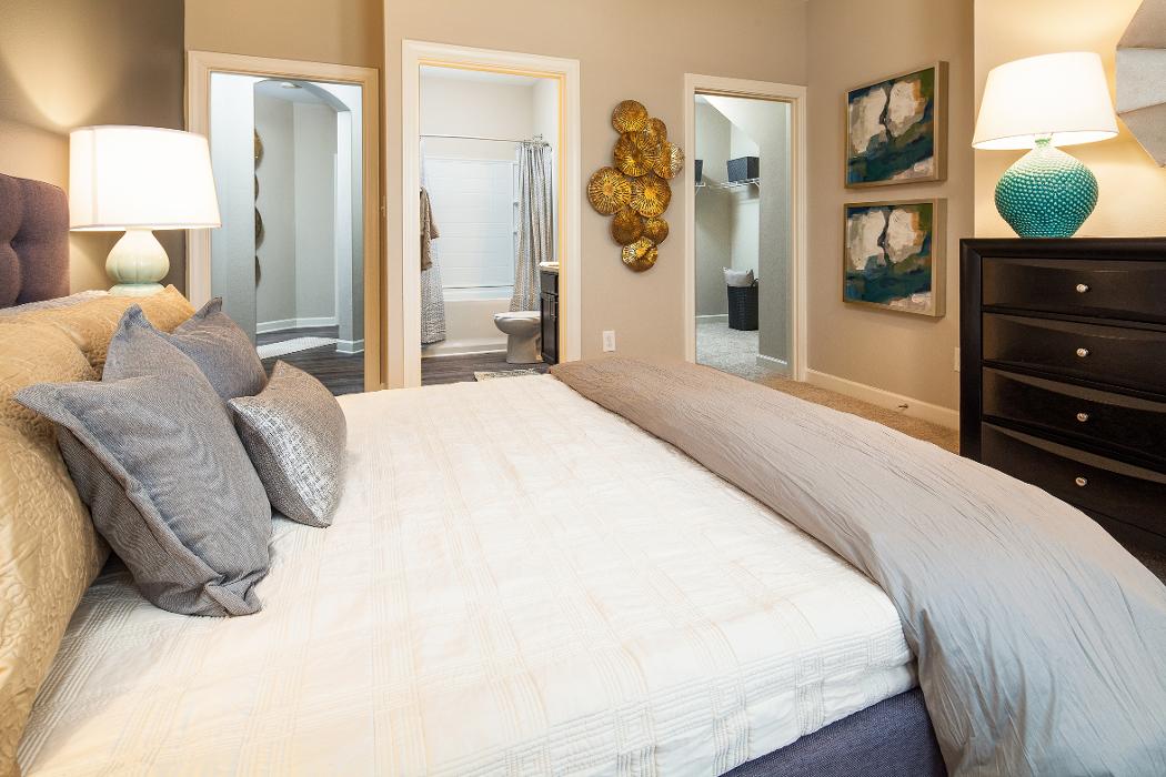 Cortland University City Image