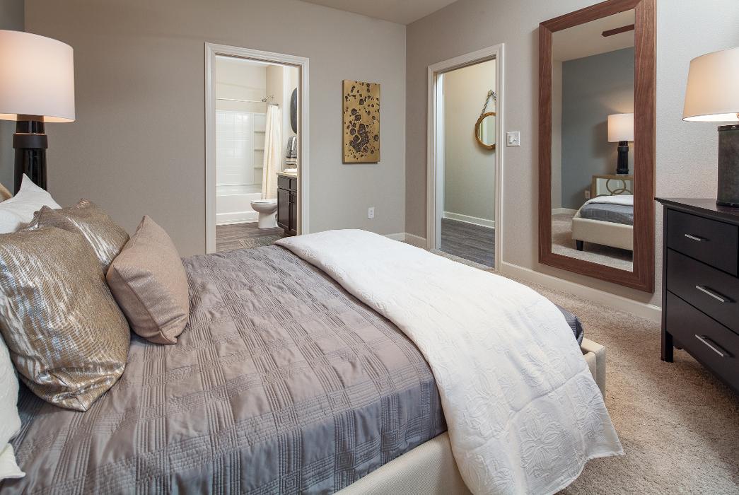 Cortland University City Image