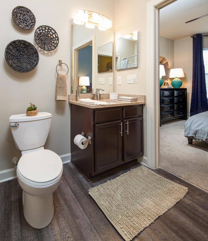 Cortland University City Image